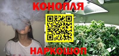 прущие грибы Кимры