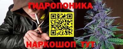 прущие грибы Кимры
