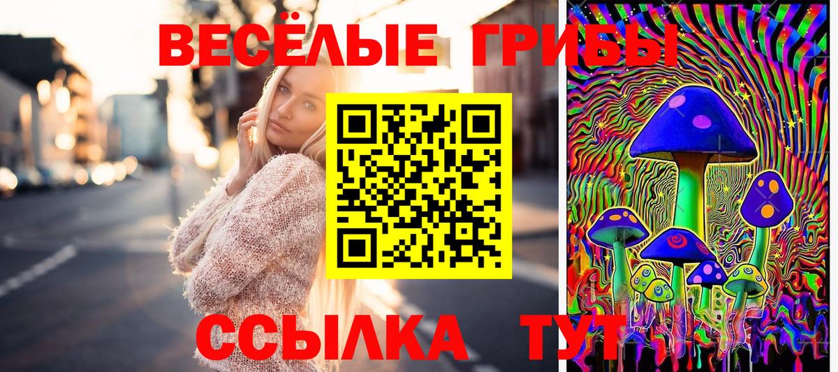 Красный Сулин  Галлюциногенные грибы MAGIC MUSHROOMS  Вход с VPN 