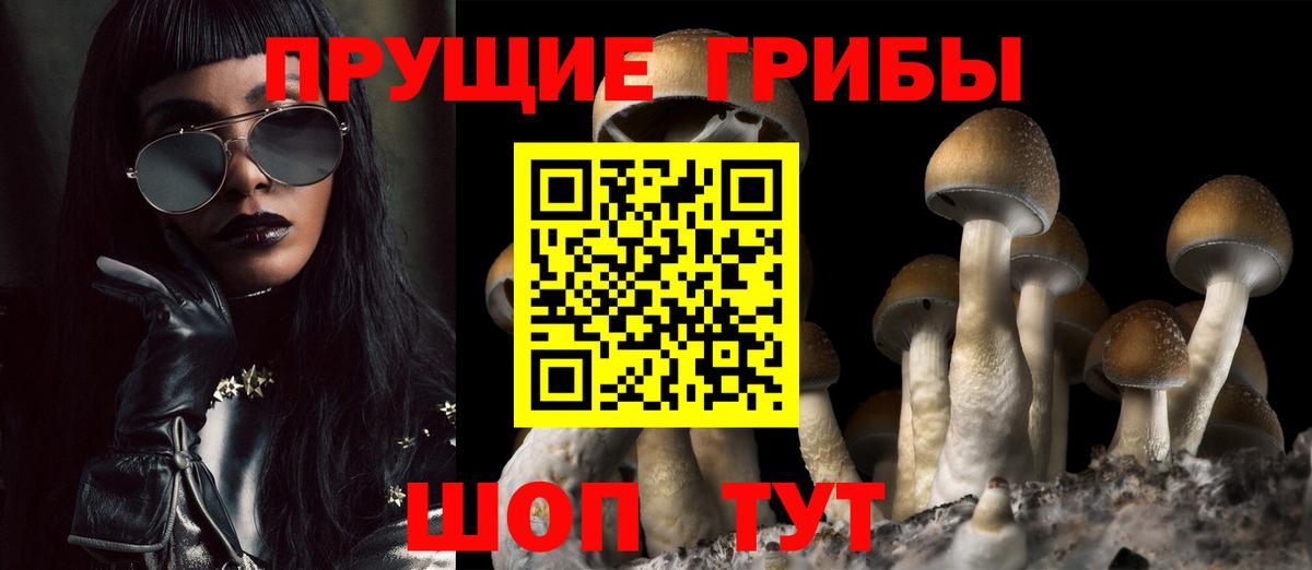Псилоцибиновые грибы Cubensis Красный Сулин