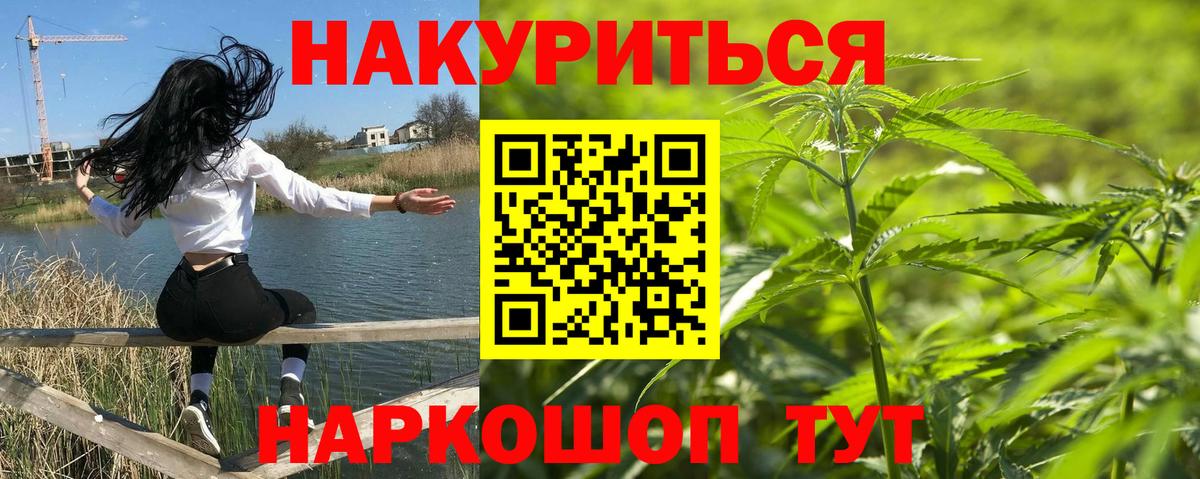 Конопля сатива Красный Сулин